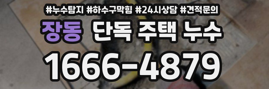 장동 단독 주택 누수