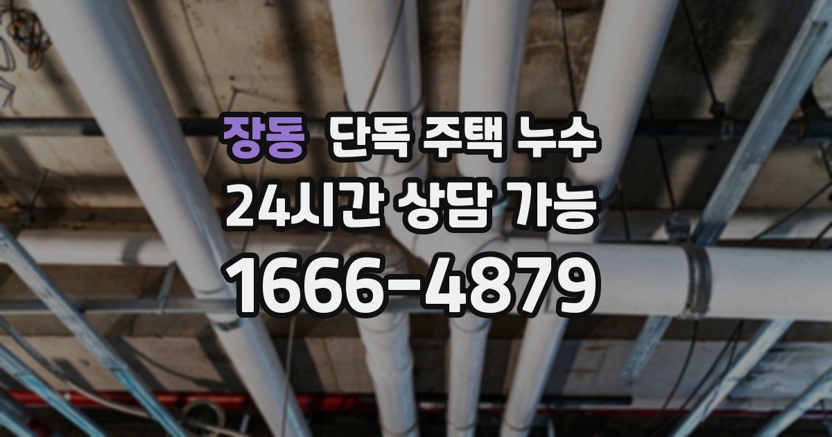 장동 단독 주택 누수