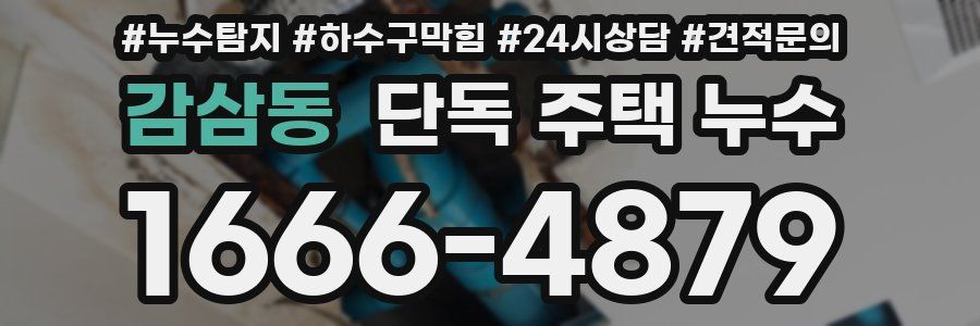 감삼동 단독 주택 누수