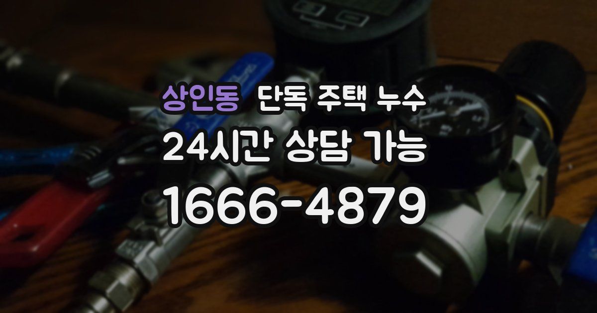 상인동 단독 주택 누수