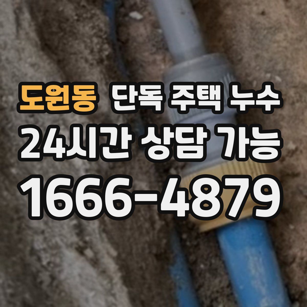 도원동 단독 주택 누수