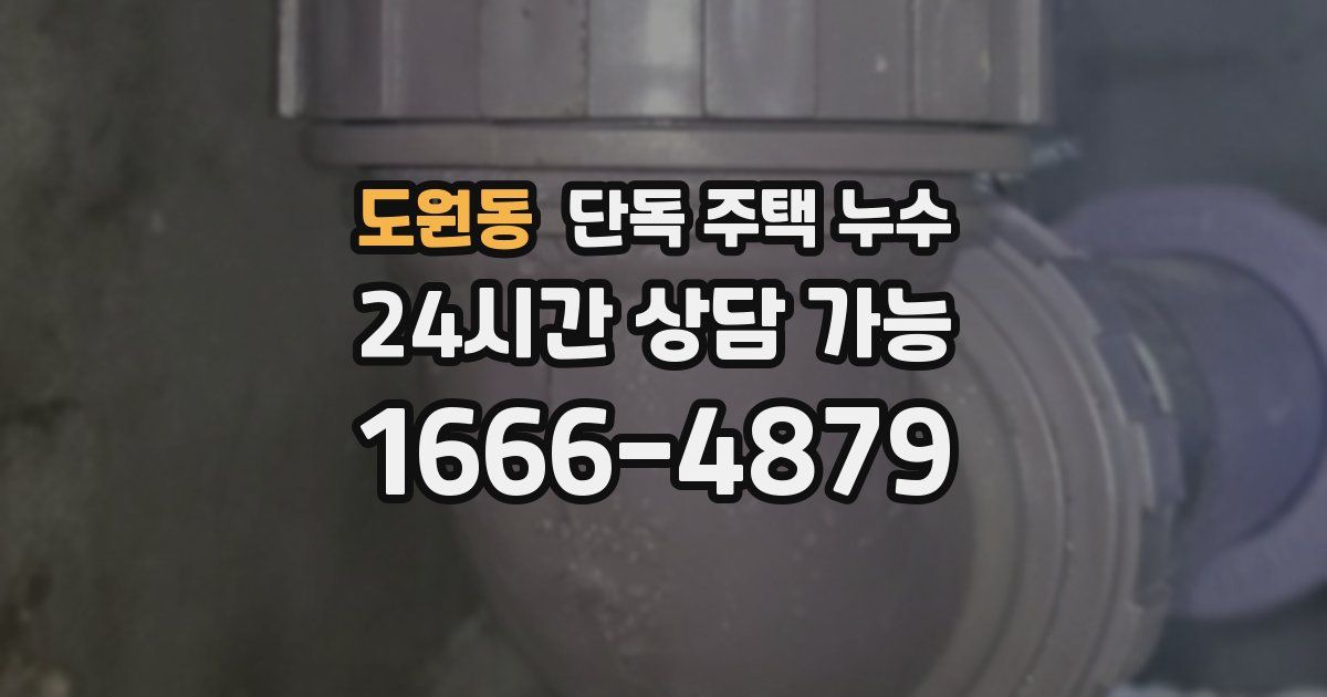 도원동 단독 주택 누수