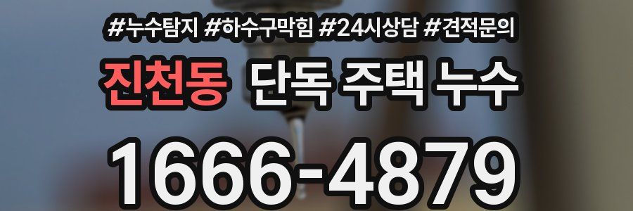 진천동 단독 주택 누수