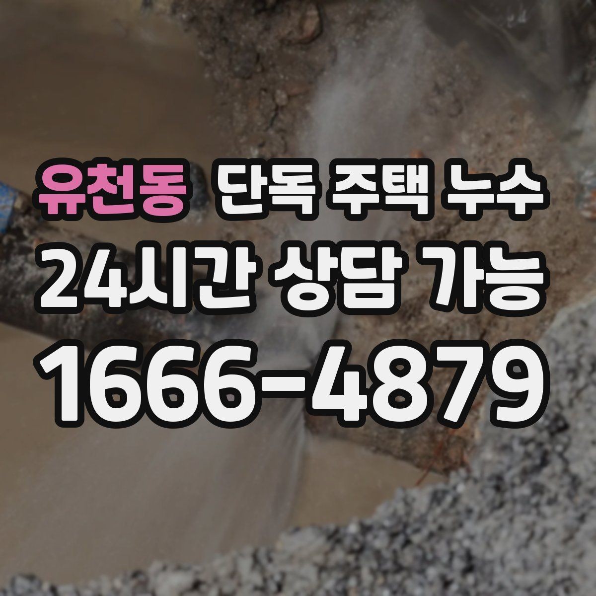 유천동 단독 주택 누수 겨울 이후 갑자기 나타나는 누수 징후
