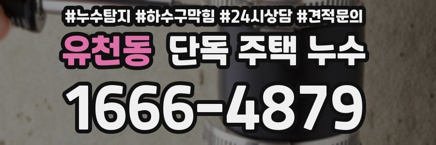 유천동 단독 주택 누수