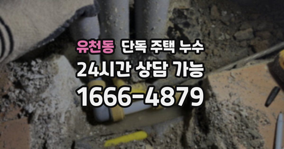 유천동 단독 주택 누수