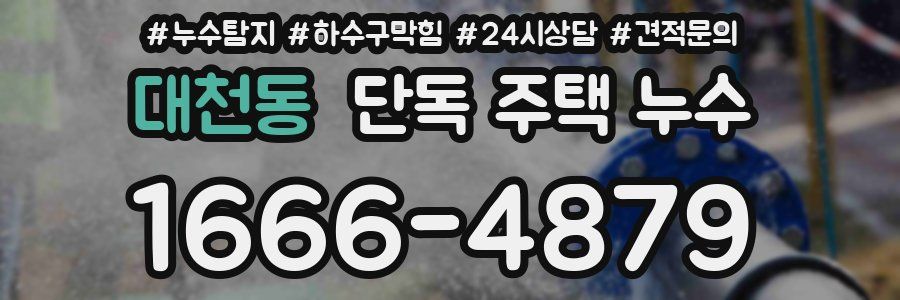 대천동 단독 주택 누수