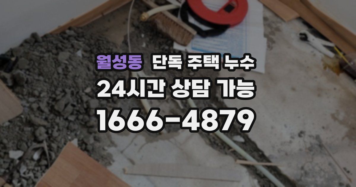 월성동 단독 주택 누수