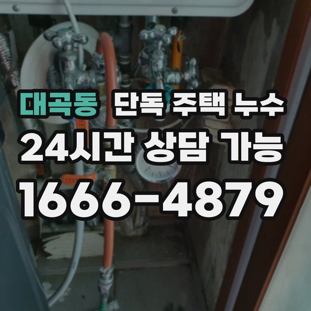 대곡동 단독 주택 누수