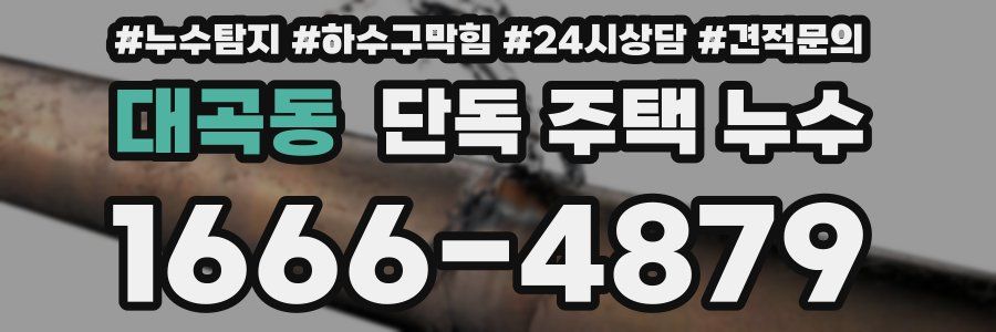 대곡동 단독 주택 누수