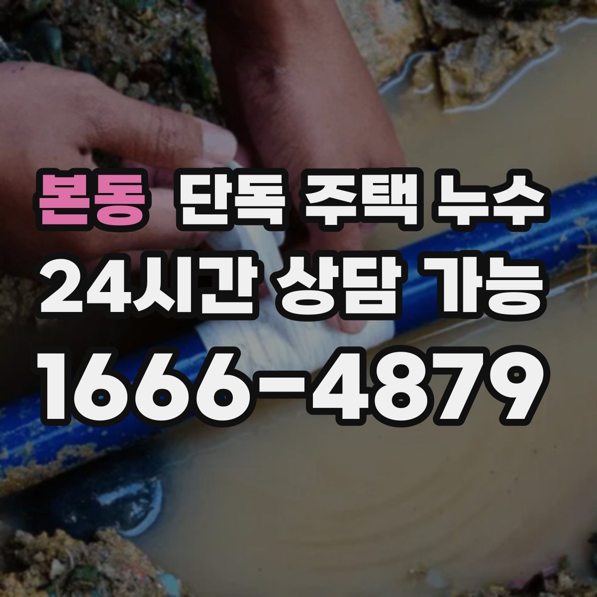 본동 단독 주택 누수