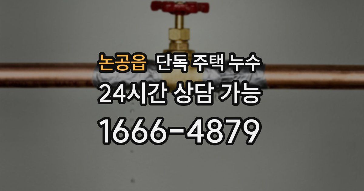 논공읍 단독 주택 누수