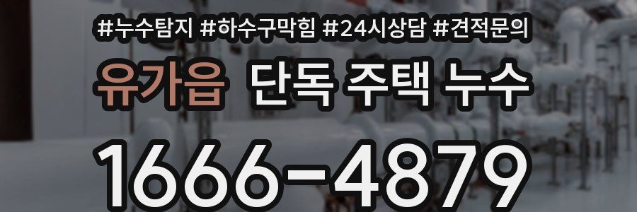 유가읍 단독 주택 누수