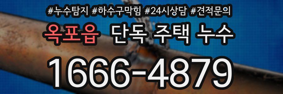 옥포읍 단독 주택 누수