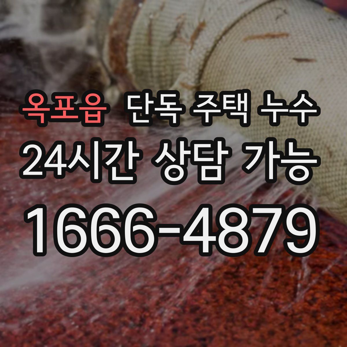 옥포읍 단독 주택 누수