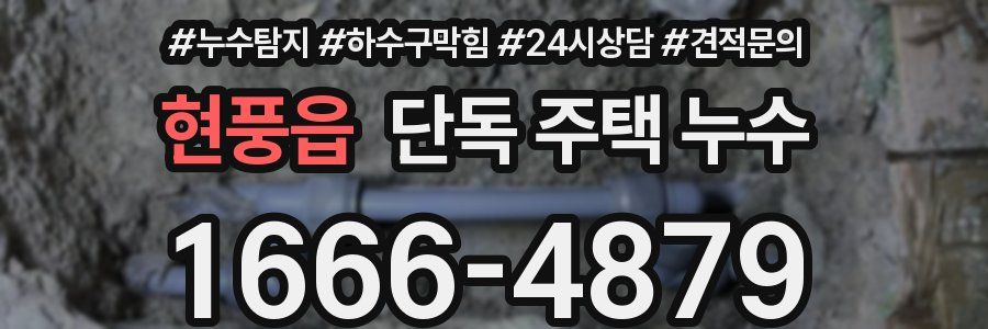 현풍읍 단독 주택 누수