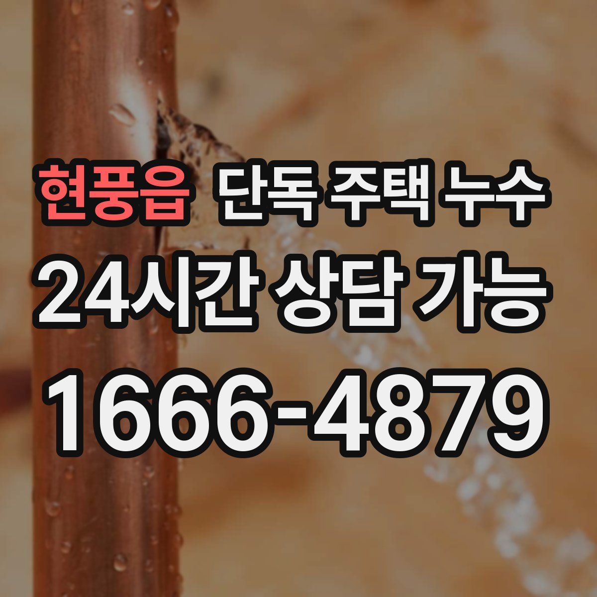 현풍읍 단독 주택 누수