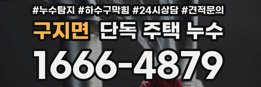 구지면 단독 주택 누수