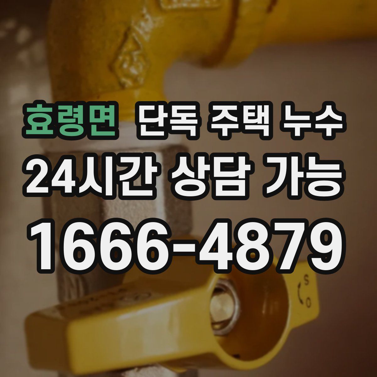 효령면 단독 주택 누수