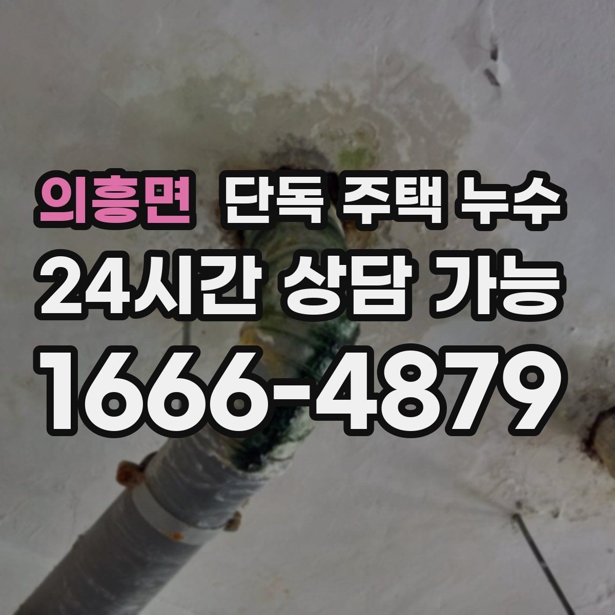 의흥면 단독 주택 누수 샤워 후 거실 쪽까지 습기가 퍼질 때