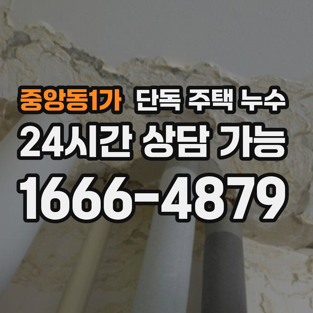 중앙동1가 단독 주택 누수