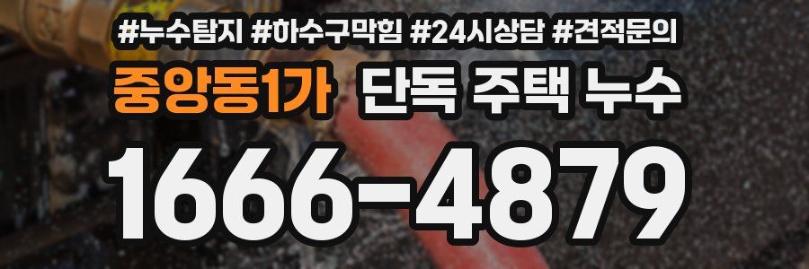 중앙동1가 단독 주택 누수