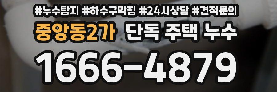 중앙동2가 단독 주택 누수