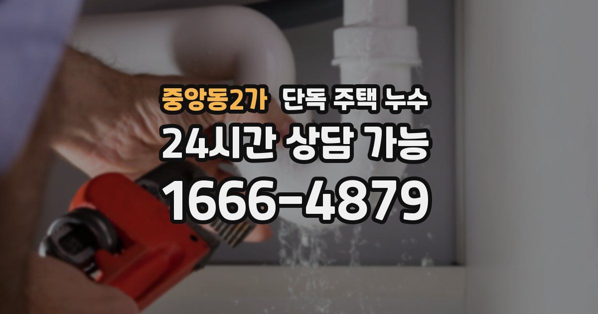 중앙동2가 단독 주택 누수