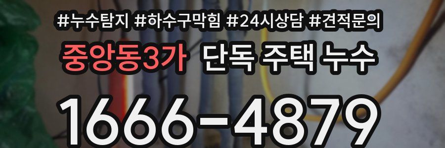 중앙동3가 단독 주택 누수