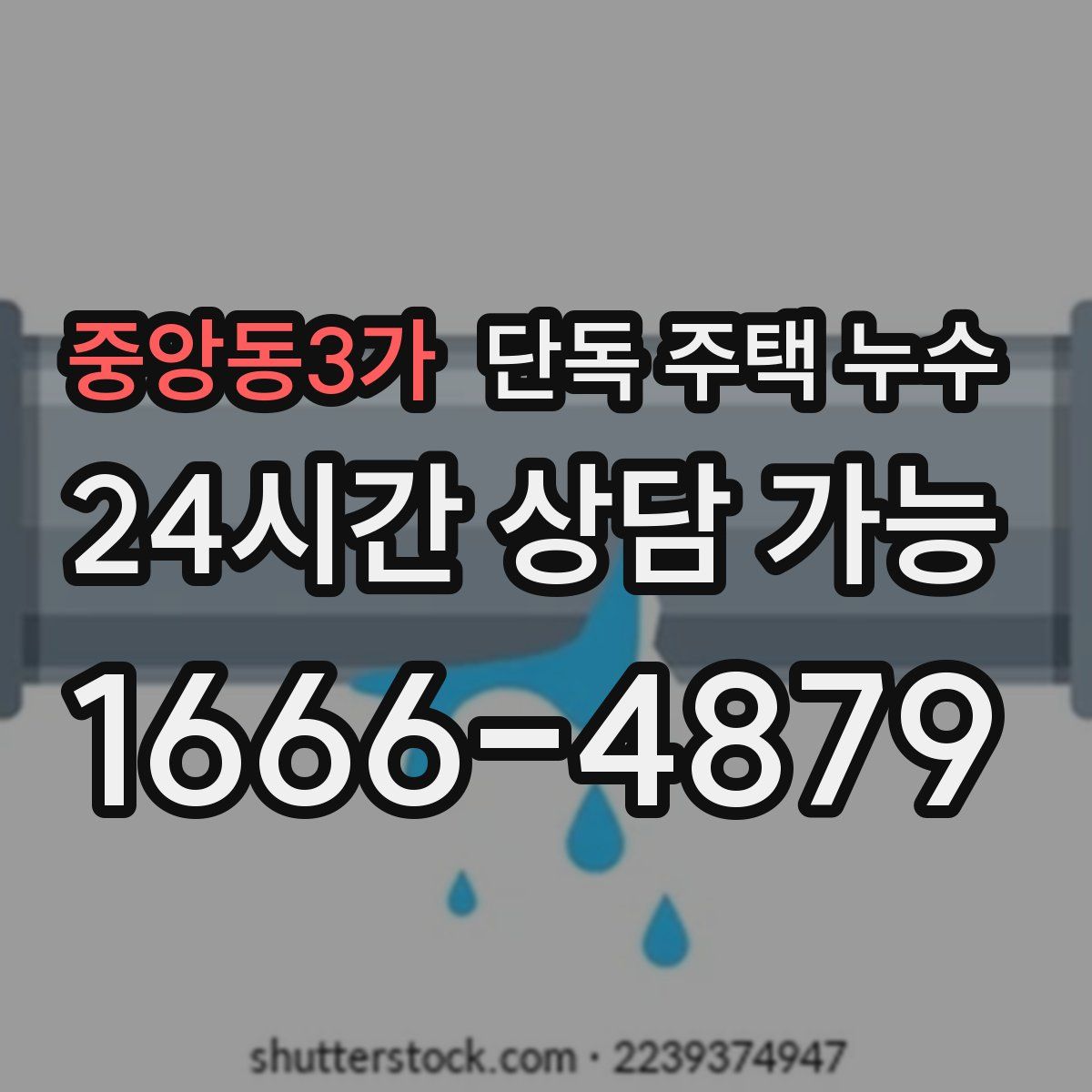 중앙동3가 단독 주택 누수