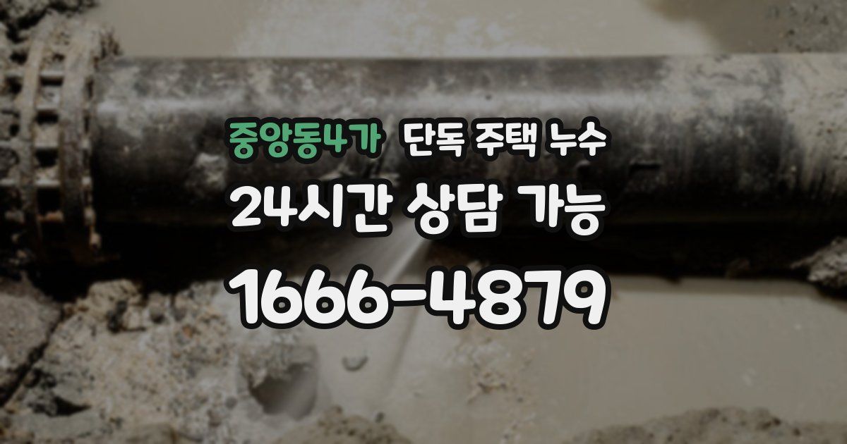 중앙동4가 단독 주택 누수