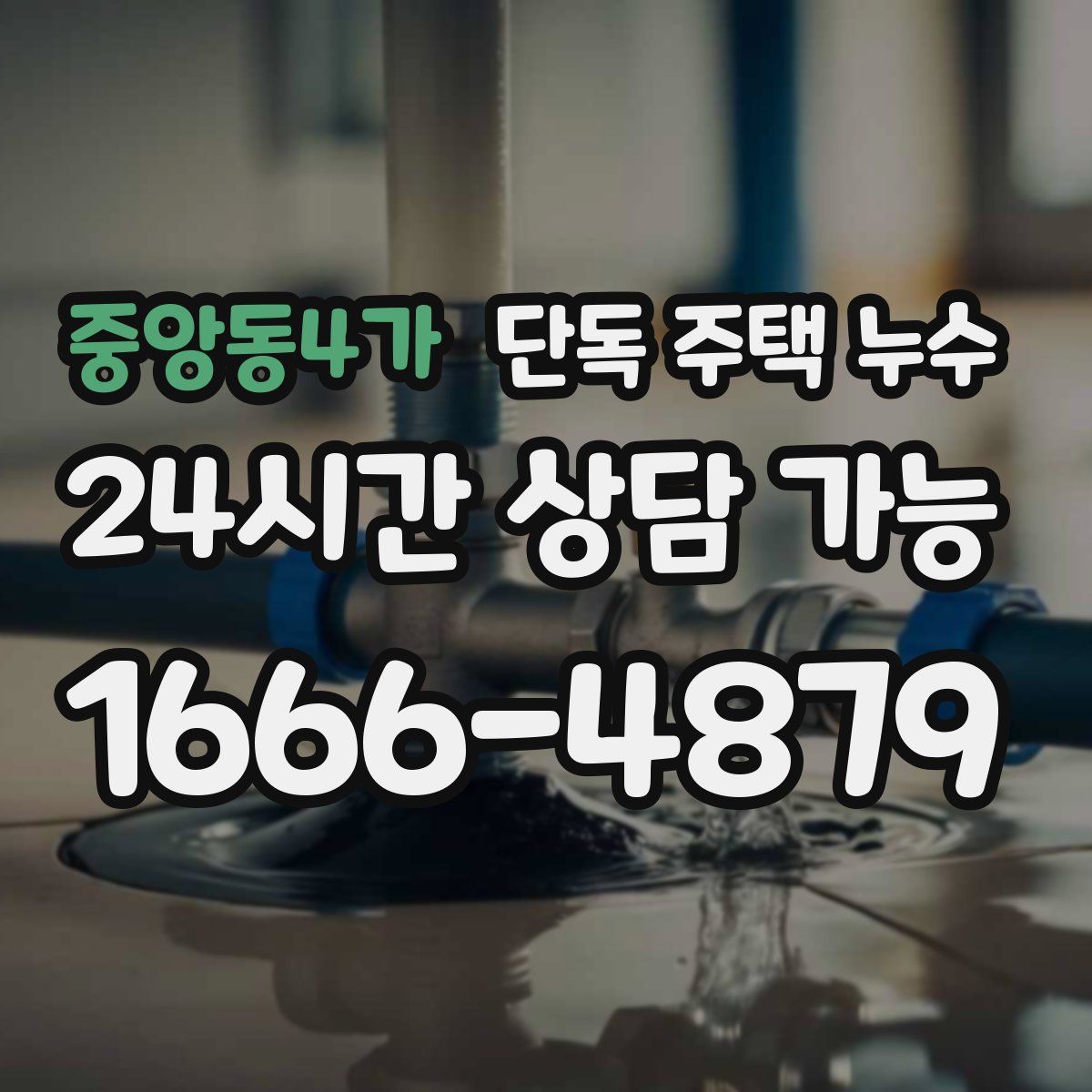 중앙동4가 단독 주택 누수