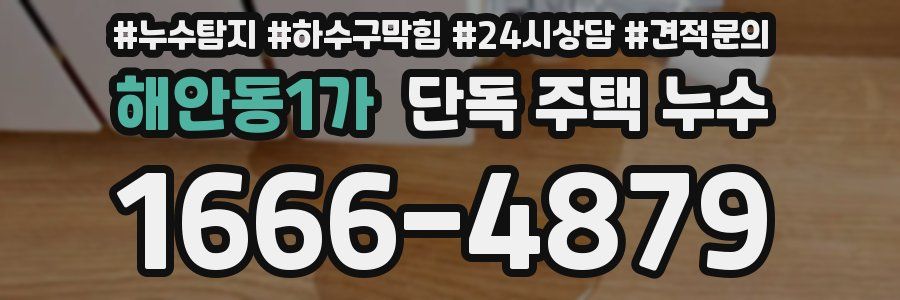 해안동1가 단독 주택 누수