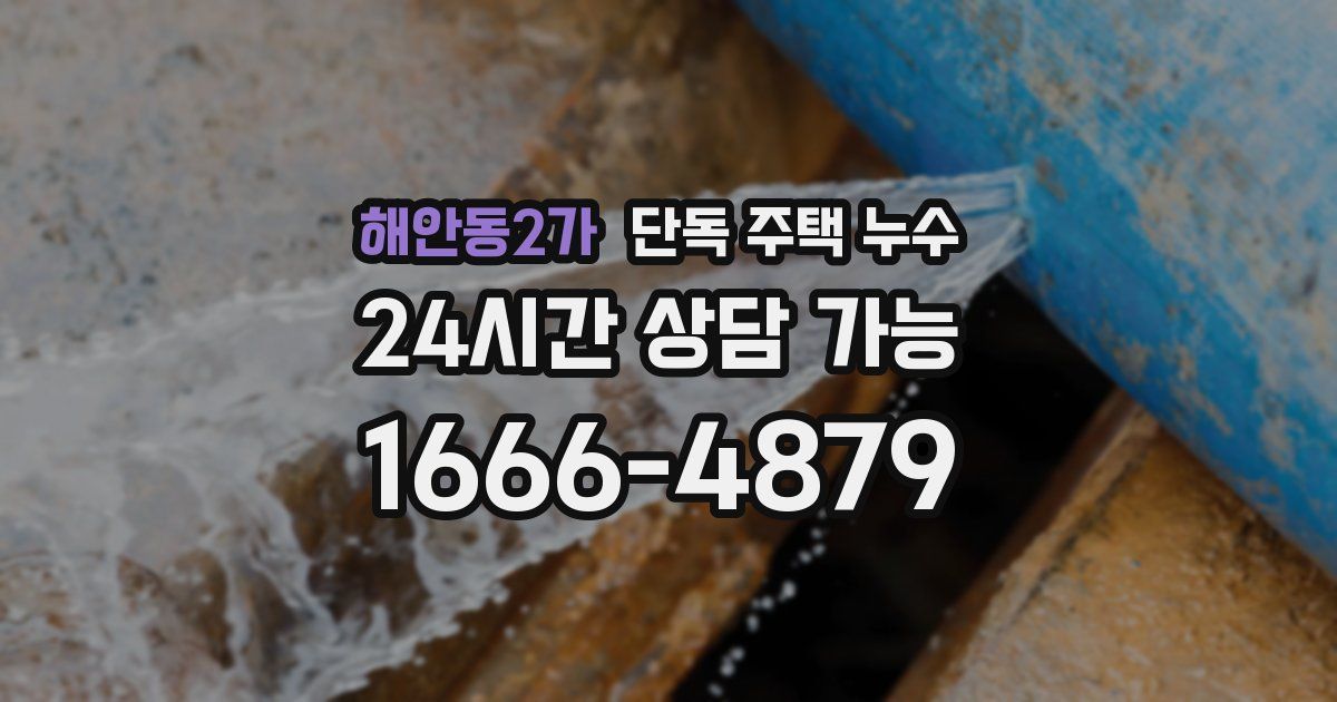 해안동2가 단독 주택 누수