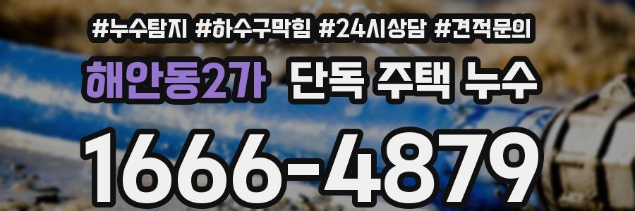 해안동2가 단독 주택 누수