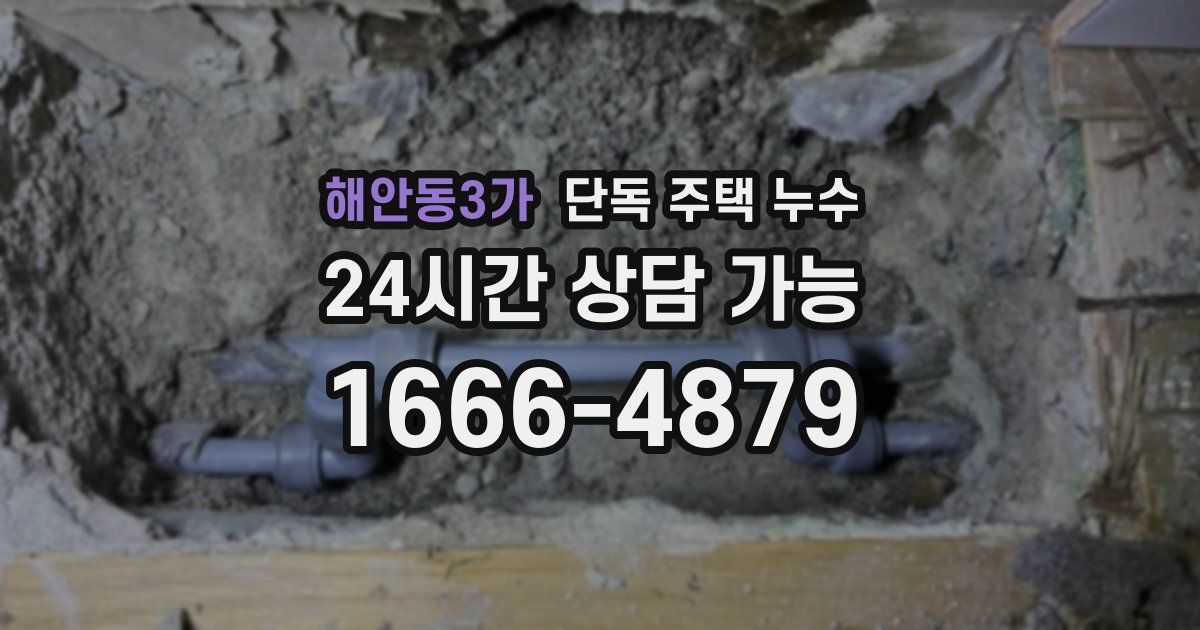해안동3가 단독 주택 누수