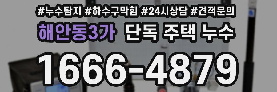 해안동3가 단독 주택 누수