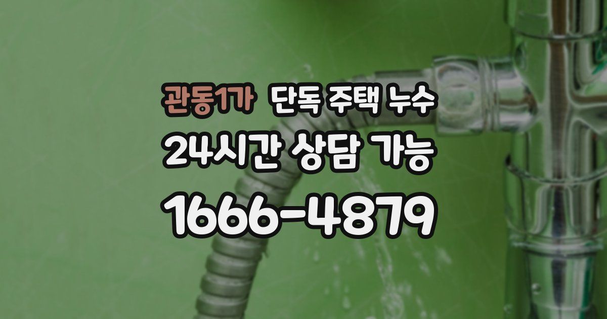 관동1가 단독 주택 누수