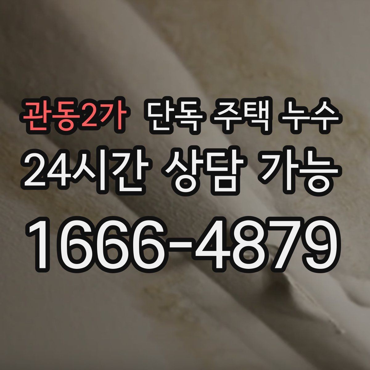 관동2가 단독 주택 누수 세탁실 배수 주변이 축축할 때