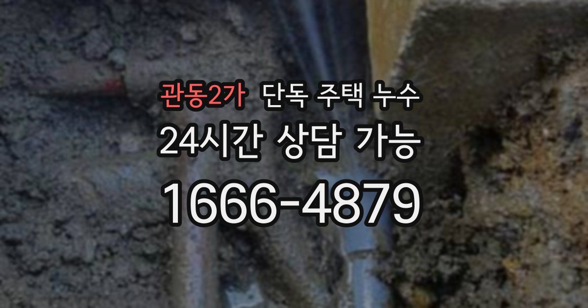 관동2가 단독 주택 누수