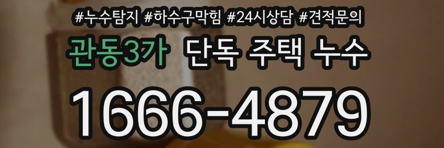 관동3가 단독 주택 누수