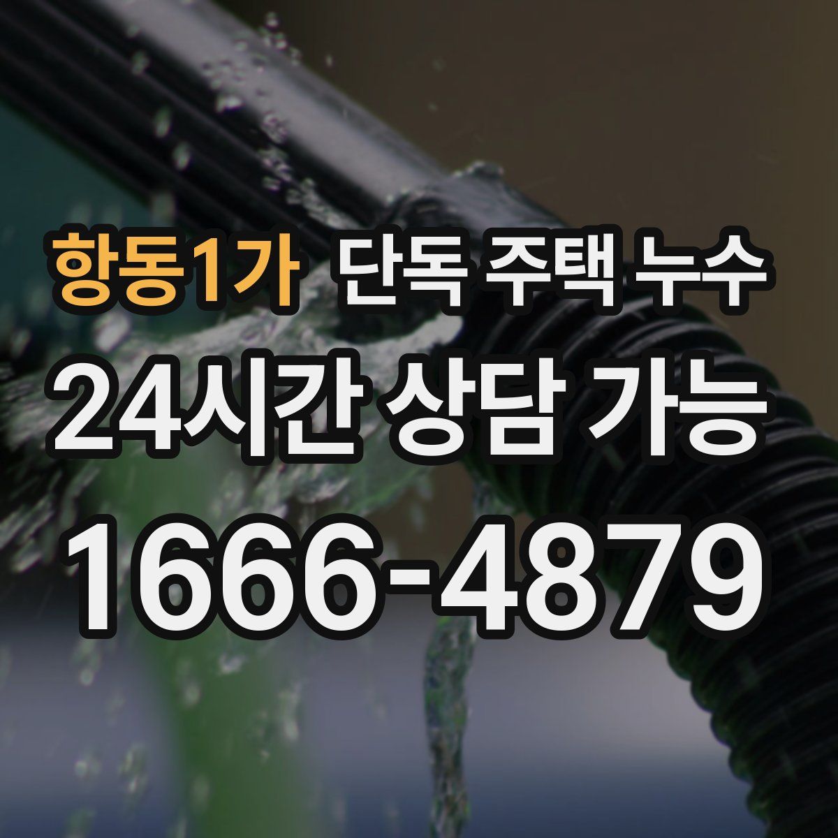 항동1가 단독 주택 누수