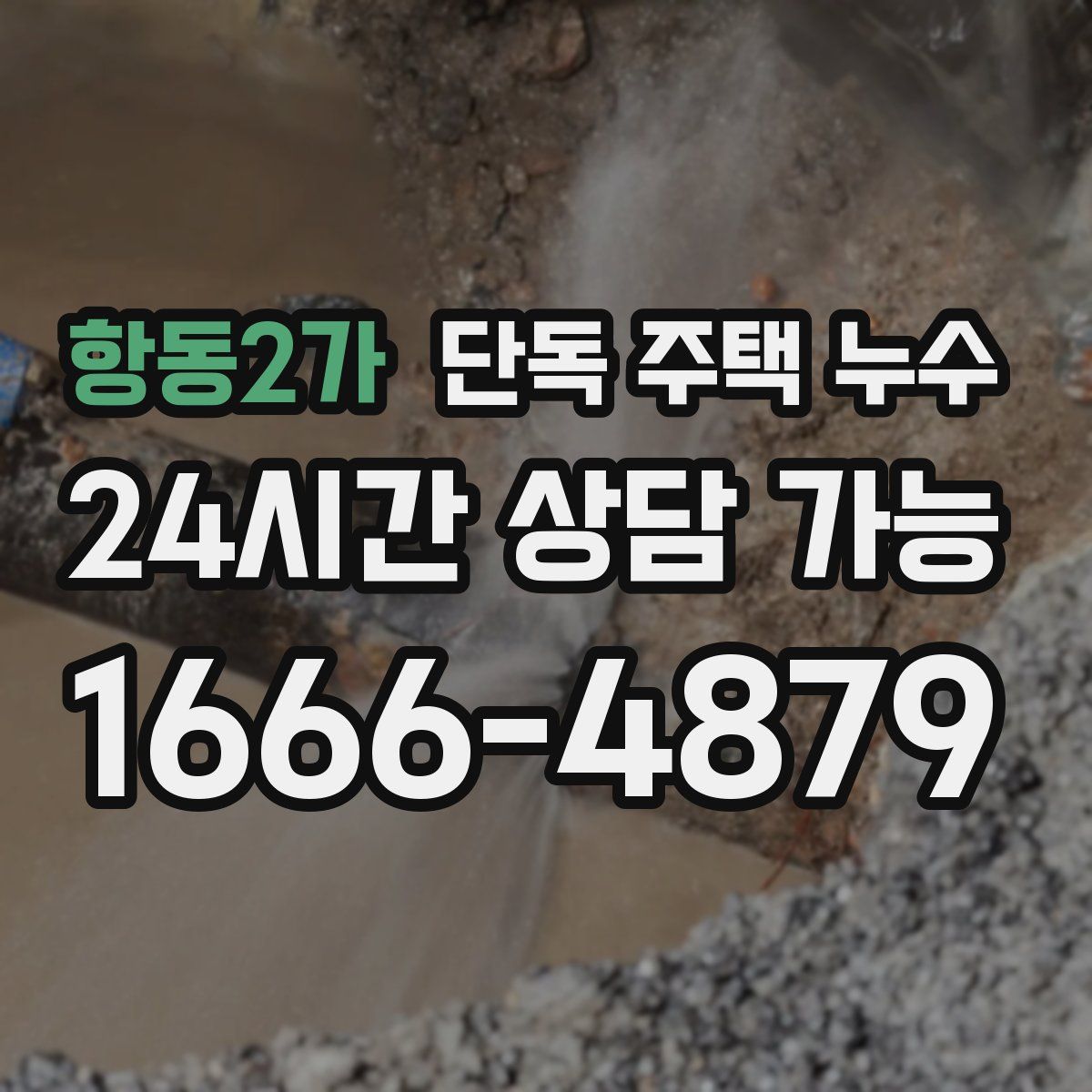 항동2가 단독 주택 누수