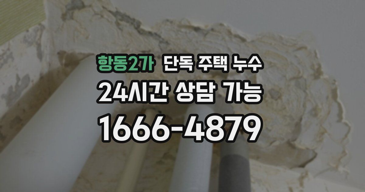 항동2가 단독 주택 누수