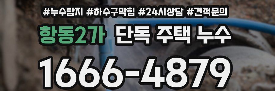 항동2가 단독 주택 누수