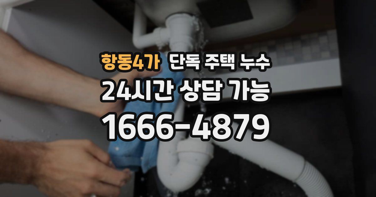항동4가 단독 주택 누수