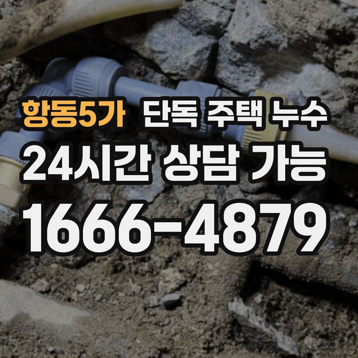 항동5가 단독 주택 누수