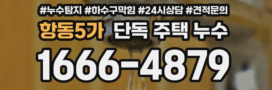 항동5가 단독 주택 누수