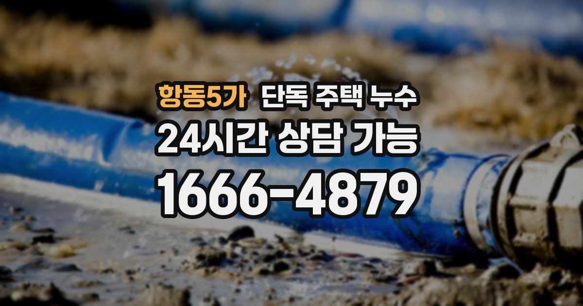 항동5가 단독 주택 누수