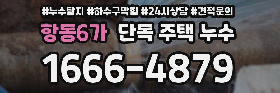 항동6가 단독 주택 누수